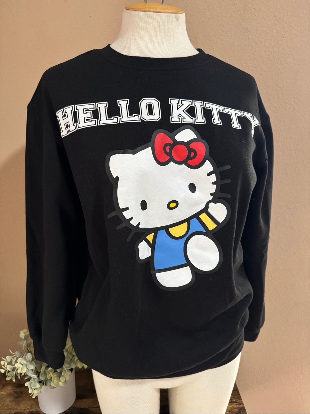 Hello Kitty Black Sweatshirt with Red Bow and Blue Outfit